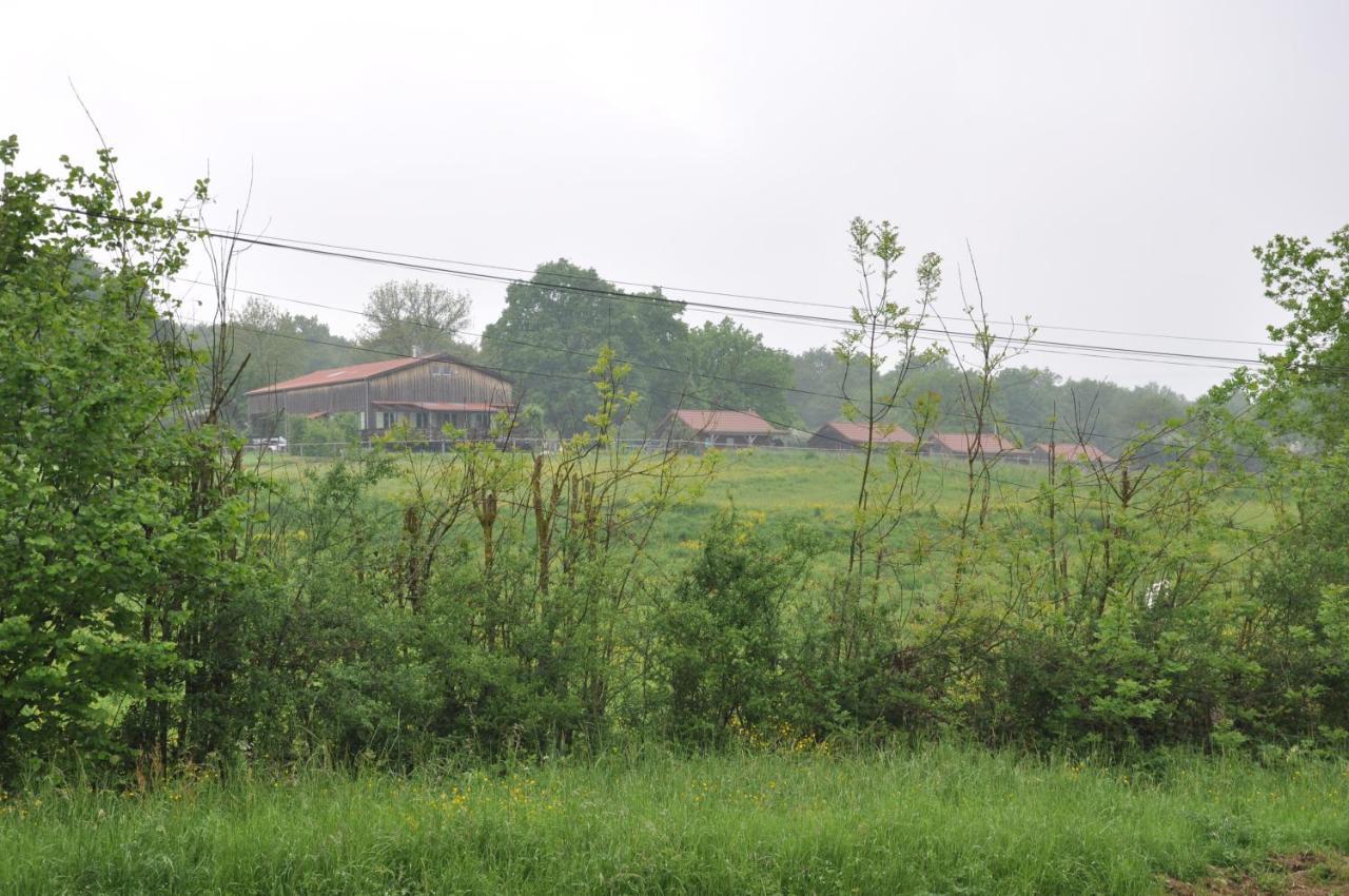 Canal Du Nivernais Gites Le Champ Radis Marigny-sur-Yonne Eksteriør billede