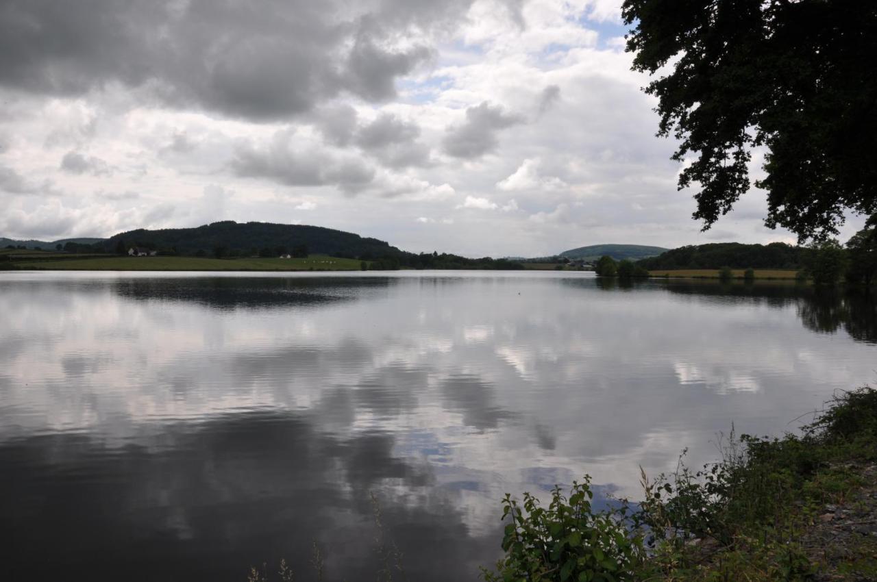Canal Du Nivernais Gites Le Champ Radis Marigny-sur-Yonne Eksteriør billede