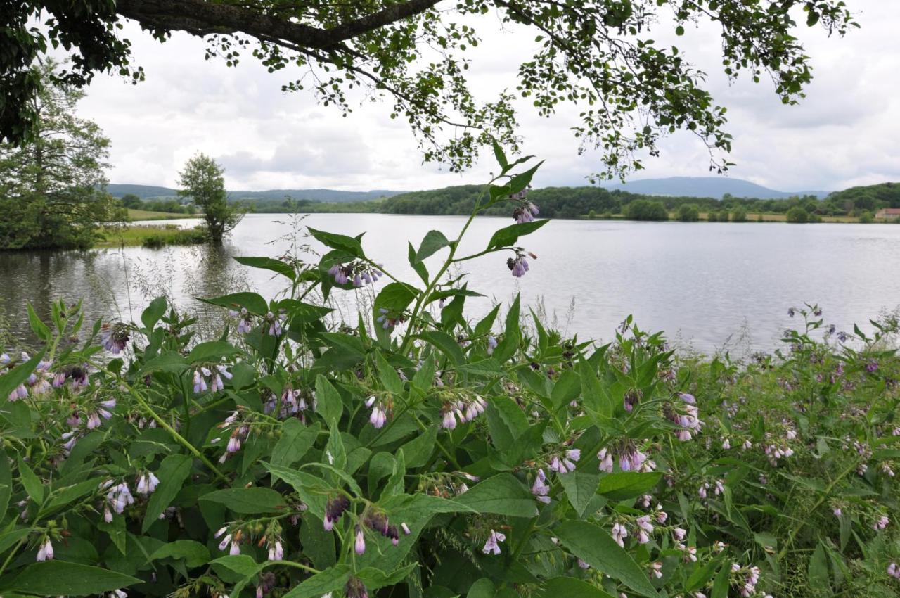 Canal Du Nivernais Gites Le Champ Radis Marigny-sur-Yonne Eksteriør billede